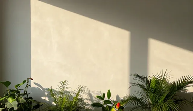 成果转化中的运维难题及应对策略